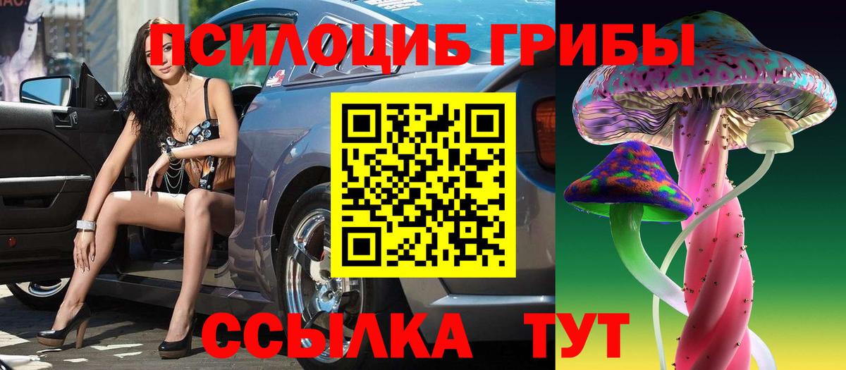 Псилоцибиновые грибы Psilocybe Лабинск