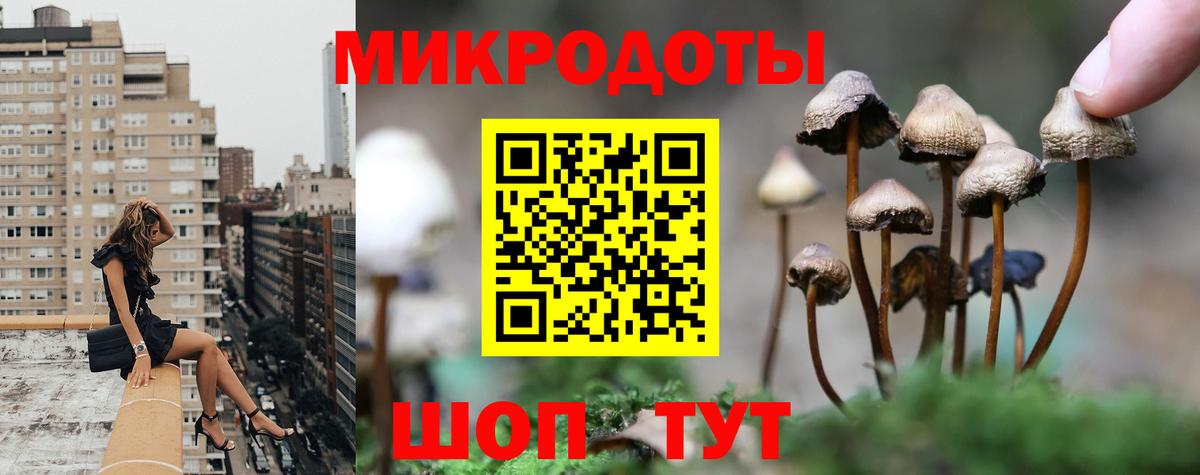 Псилоцибиновые грибы мицелий  Галлюциногенные грибы GOLDEN TEACHER  Лабинск  Вход с VPN 